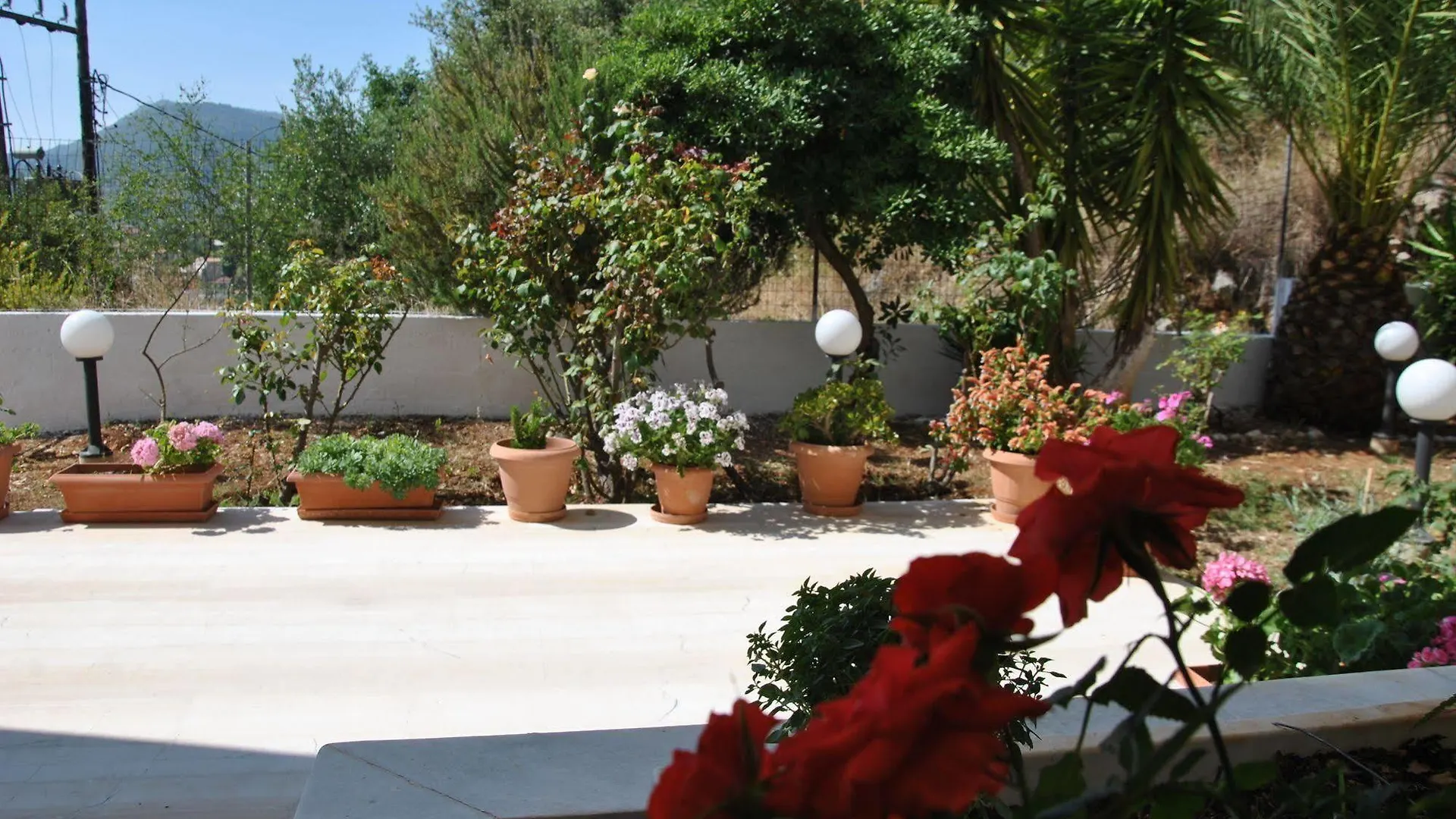 Filoxenia Hotel & Apartments Poros  Apartahotel Poros (Kefalonia)